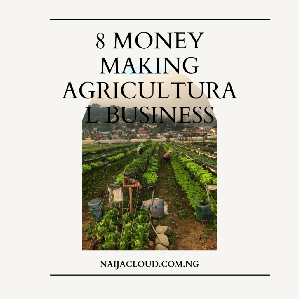 8 Money Making Agricultural Business Ideas 