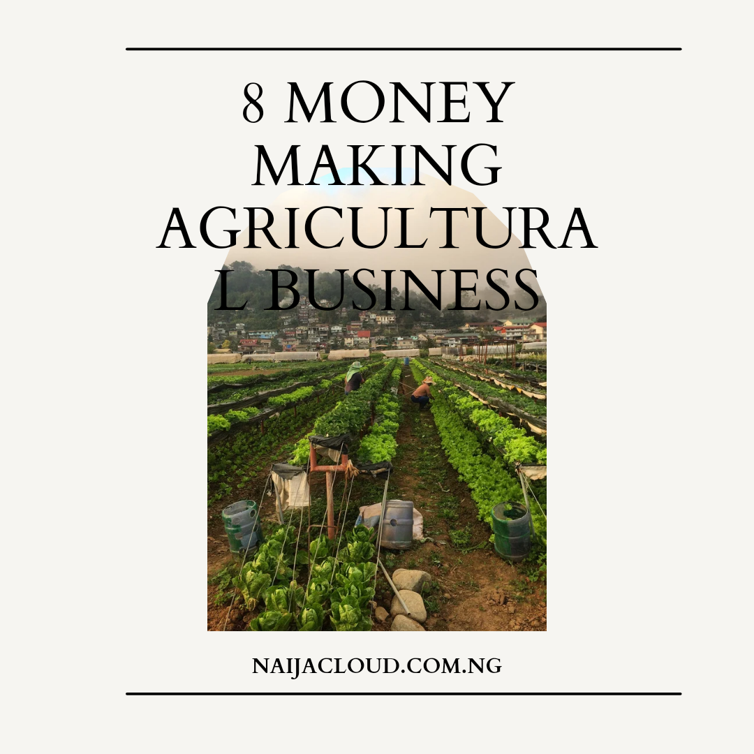 8 Money Making Agricultural Business Ideas