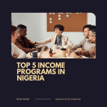Income Programs in Nigeria
