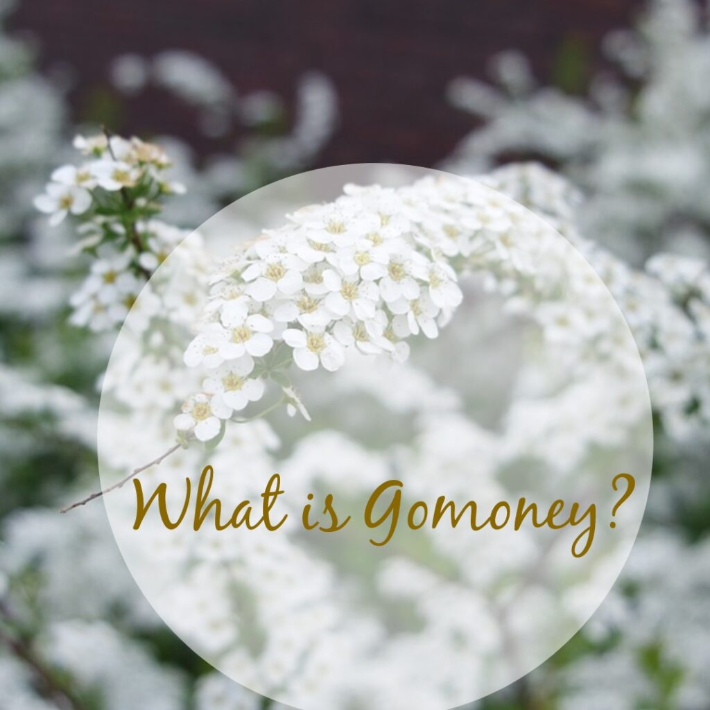 What is Gomoney?